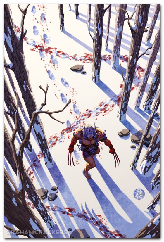Wolverine #13 (2024) brooks virgin variant