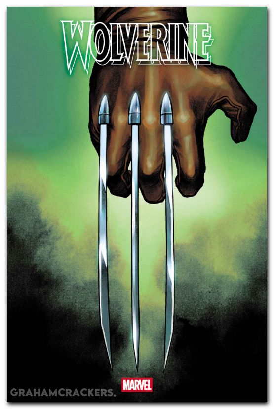 Wolverine #22 (2024) coccolo hidden variant