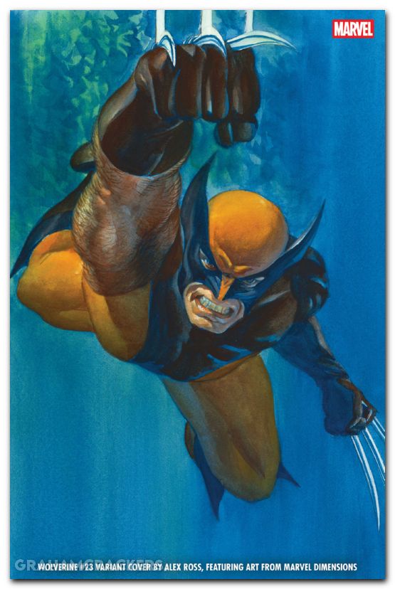 Wolverine #23 (2024) ross marvel dimensions variant
