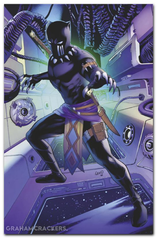 Black Panther Intergalactic #1 (2025) land character virgin variant