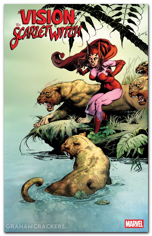 Vision And The Scarlet Witch #1 (2025) plunkett hidden gem variant