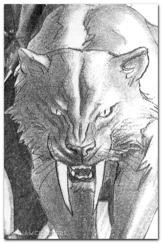 Black Cat #2 (2025) ross timeless virgin sketch variant