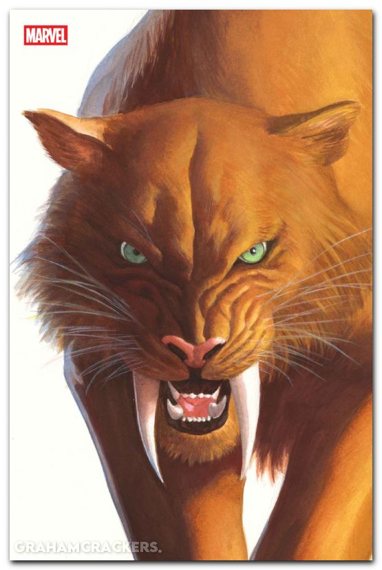 Black Cat #2 (2025) ross timeless virgin variant