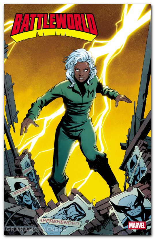 Battleworld #5 (2025) mckone days of future past variant