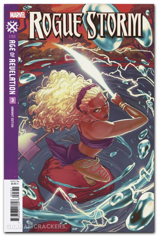 Rogue Storm #3 (2025) malavia variant