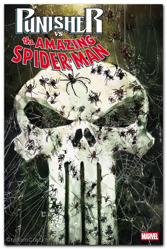 Punisher Vs Spider-Man #2 (2026) reis variant