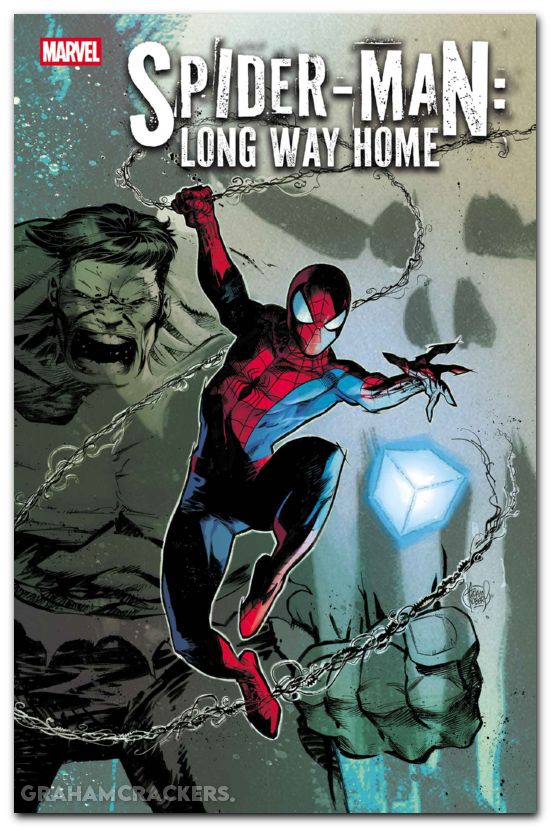 Spider-Man Long Way Home