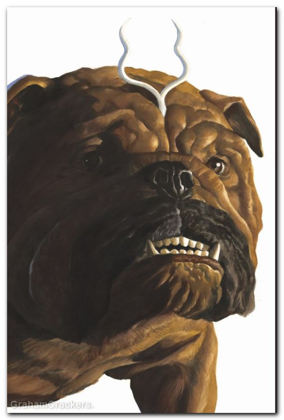 Jeff The Land Shark Superstar #3 (2026) ross timeless virgin variant