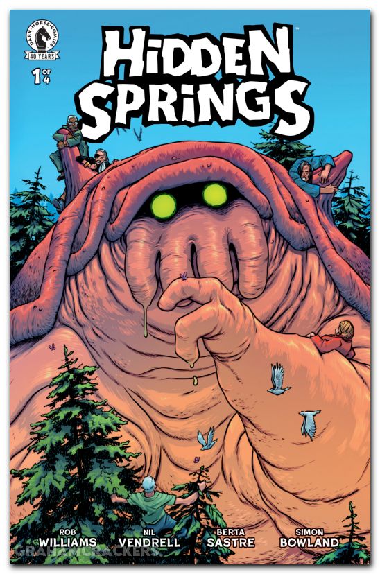 Hidden Springs #1 (2026) cover b parr variant