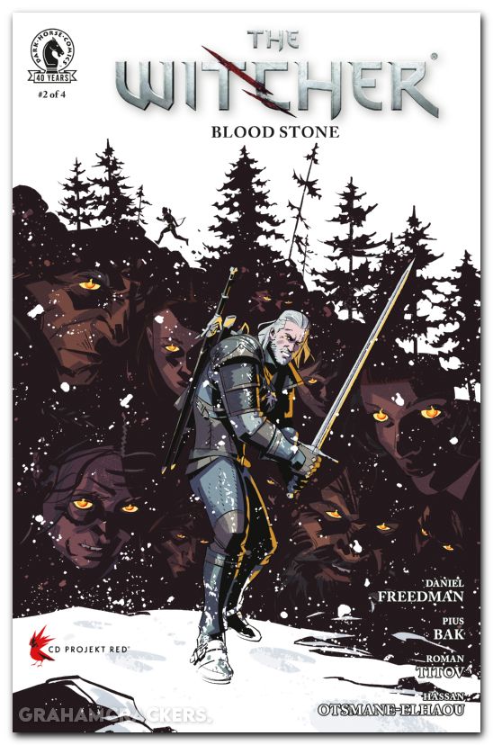 Witcher Blood Stone #2 (2026) cover a