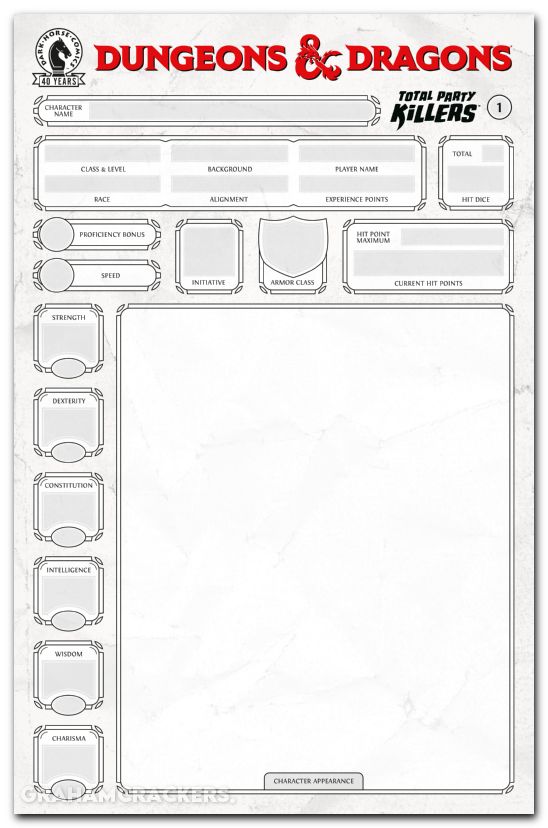 Dungeons And Dragons Total Party Killers #1 (2026) cover e blank character sheet variant
