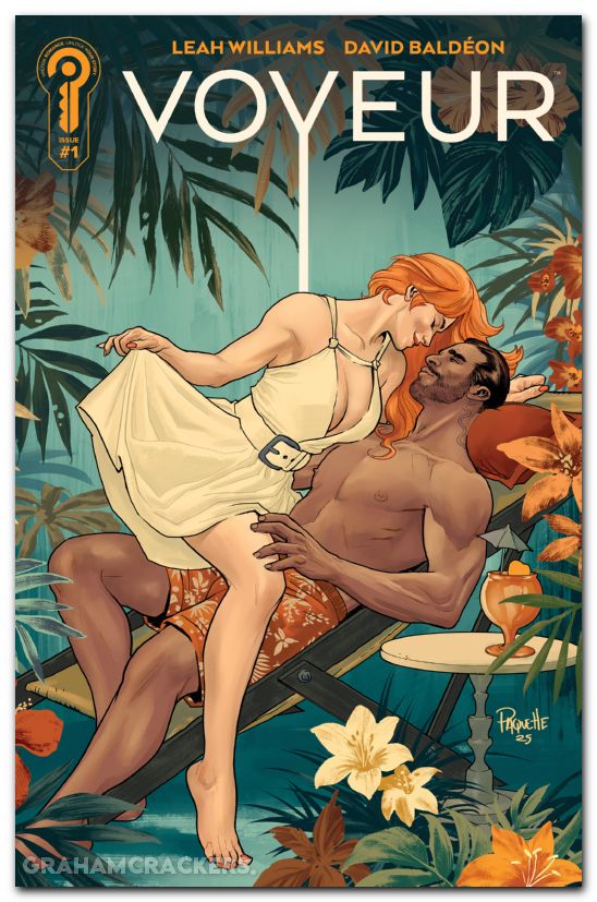 Voyeur #1 (2025) cover c paquette variant
