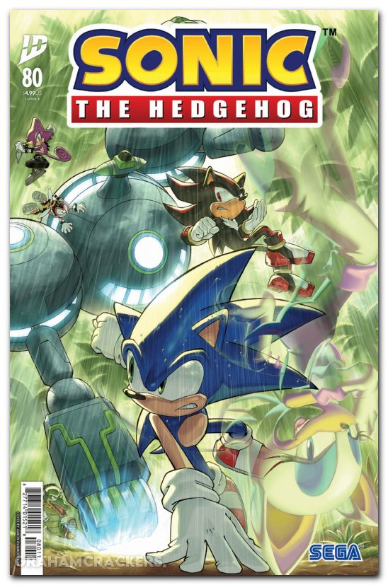 Sonic The Hedgehog #80 (2018) cover a
