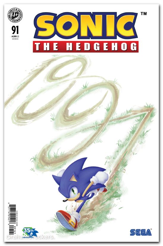 Sonic The Hedgehog #91 (2018) cover b haines variant