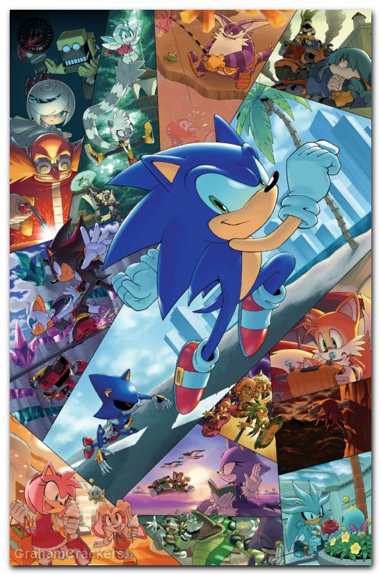 Sonic The Hedgehog #91 (2018) cover g hammerstrom virgin variant