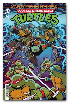Teenage Mutant Ninja Turtles Saturday Morning Adventures #24 (2023) cover b neo variant