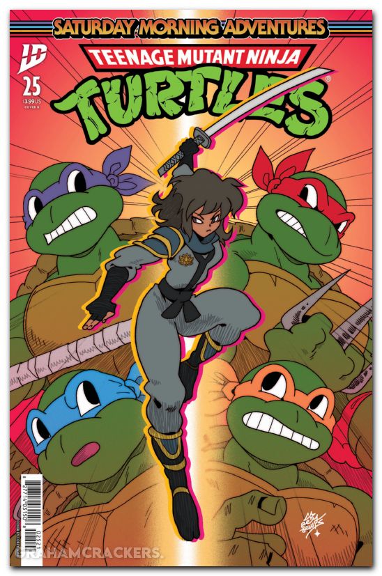 Teenage Mutant Ninja Turtles Saturday Morning Adventures #25 (2023) cover b lewis variant