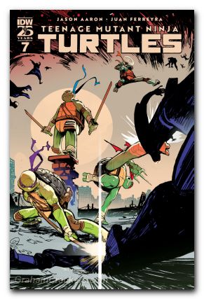 Teenage Mutant Ninja Turtles #7 (2024) cover e rivas variant