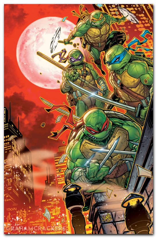 Teenage Mutant Ninja Turtles #12 (2024) cover h meyers virgin variant
