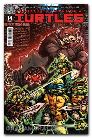 Teenage Mutant Ninja Turtles #14 (2024) cover b eastman variant