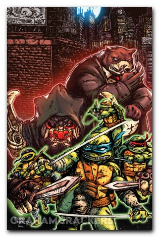 Teenage Mutant Ninja Turtles #14 (2024) cover e eastman virgin variant
