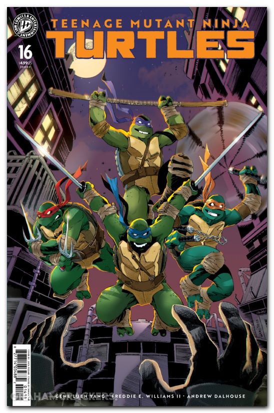 Teenage Mutant Ninja Turtles #16 (2024) cover c pizzari variant