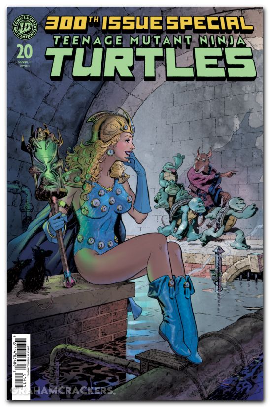 Teenage Mutant Ninja Turtles #20 (2024) 300th issue special cover e dooney variant