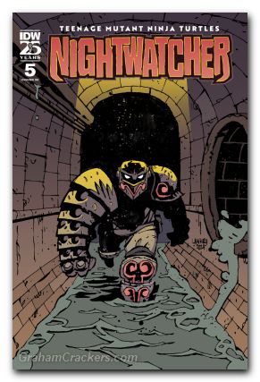 Teenage Mutant Ninja Turtles Nightwatcher #5 (2024) cover c lankry variant