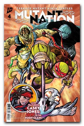 Teenage Mutant Ninja Turtles Mutant Nation #4 (2024) cover b federici variant