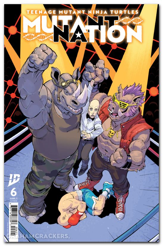 Teenage Mutant Ninja Turtles Mutant Nation #6 (2024) cover c francia variant