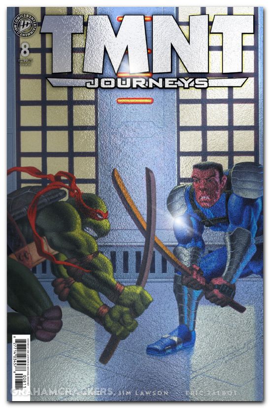 TMNT Journeys #8 (2025) cover c dooney foil variant