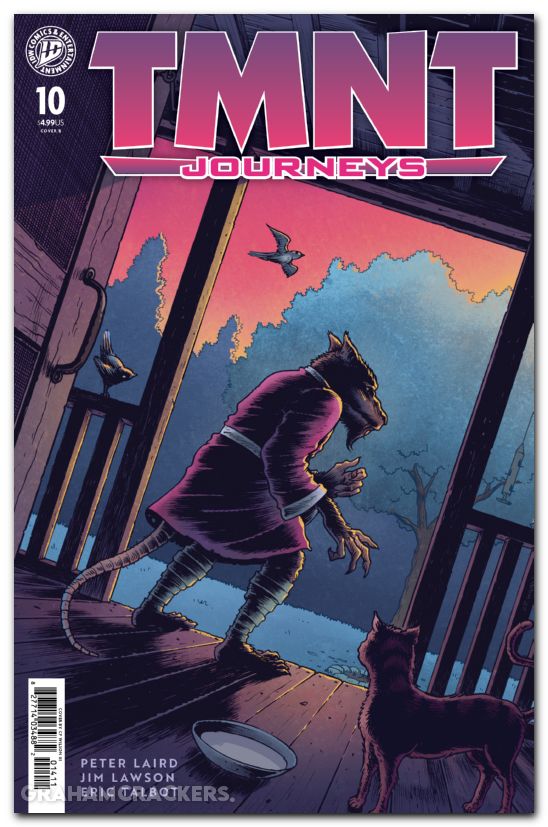 TMNT Journeys #10 (2025) cover b wilson iii variant