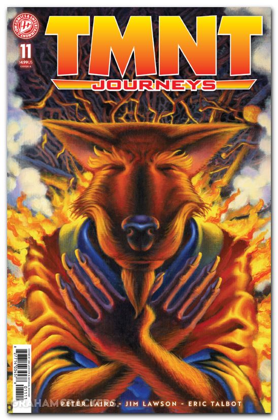 TMNT Journeys #11 (2025) cover a