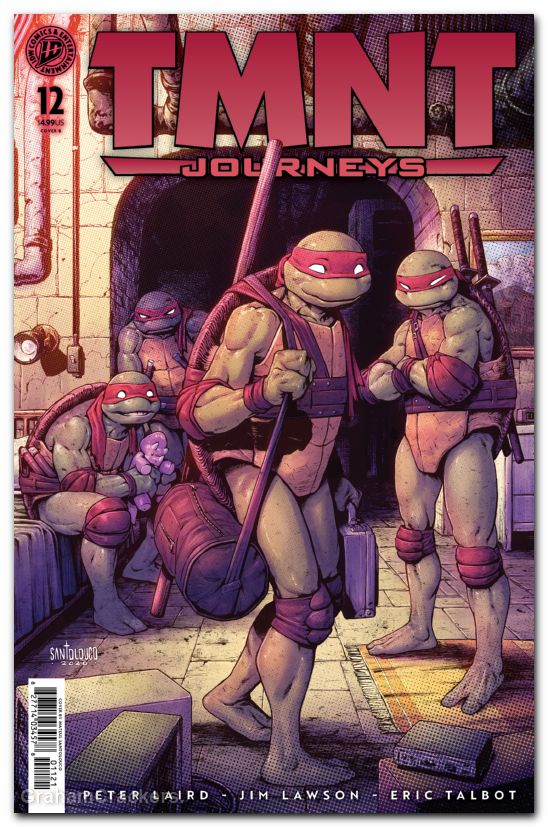 TMNT Journeys #12 (2025) cover b santolouco variant