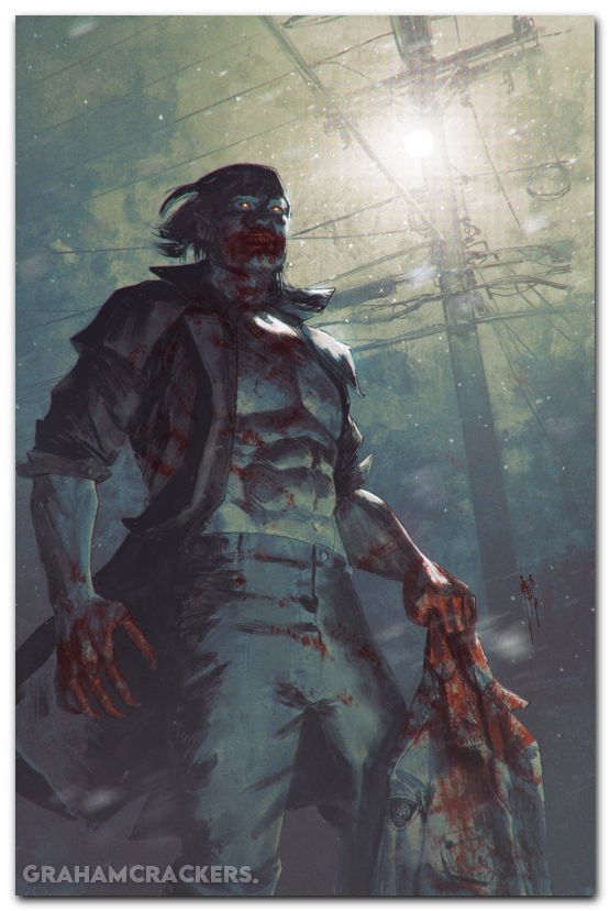 30 Days Of Night Falling Sun #2 (2025) cover c shehan virgin variant