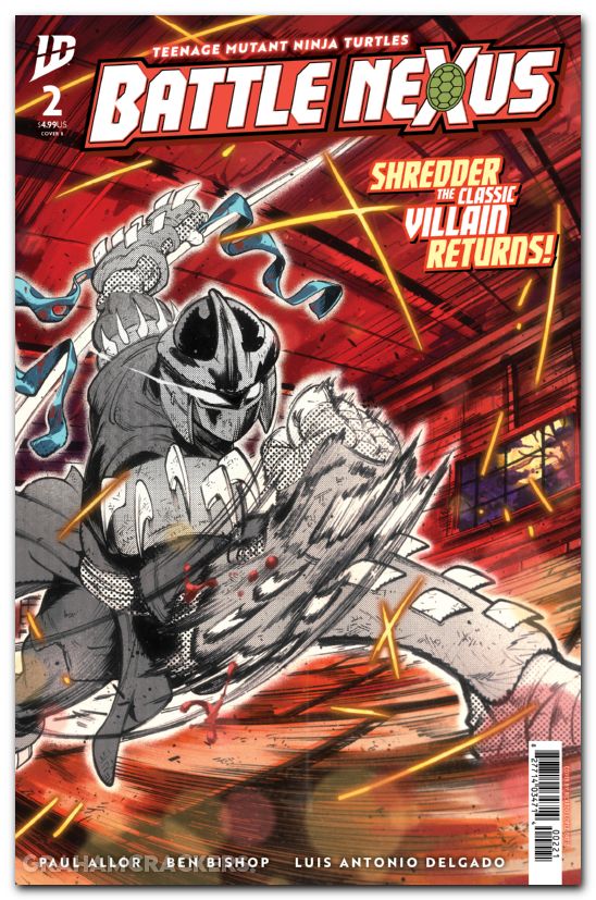 Teenage Mutant Ninja Turtles Battle Nexus #2 (2025) cover b ortiz variant