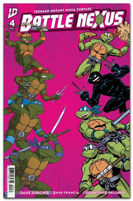 Teenage Mutant Ninja Turtles Battle Nexus #4 (2025) cover c mitchroney variant