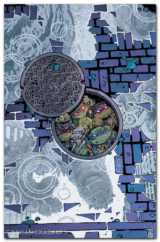 Teenage Mutant Ninja Turtles X Godzilla #4 (2025) cover d corona virgin variant