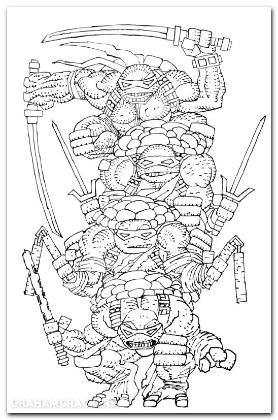 Teenage Mutant Ninja Turtles #20 (2024) 300th issue special cover l miller b&w virgin variant