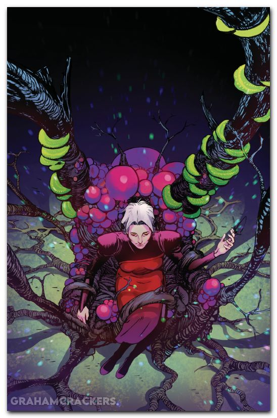 Grim #24 cover d rivas variant