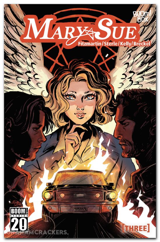 Mary Sue #3 (2025) cover b sterle variant