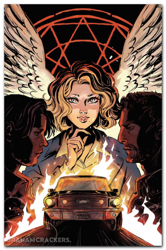 Mary Sue #3 (2025) cover c sterle virgin variant