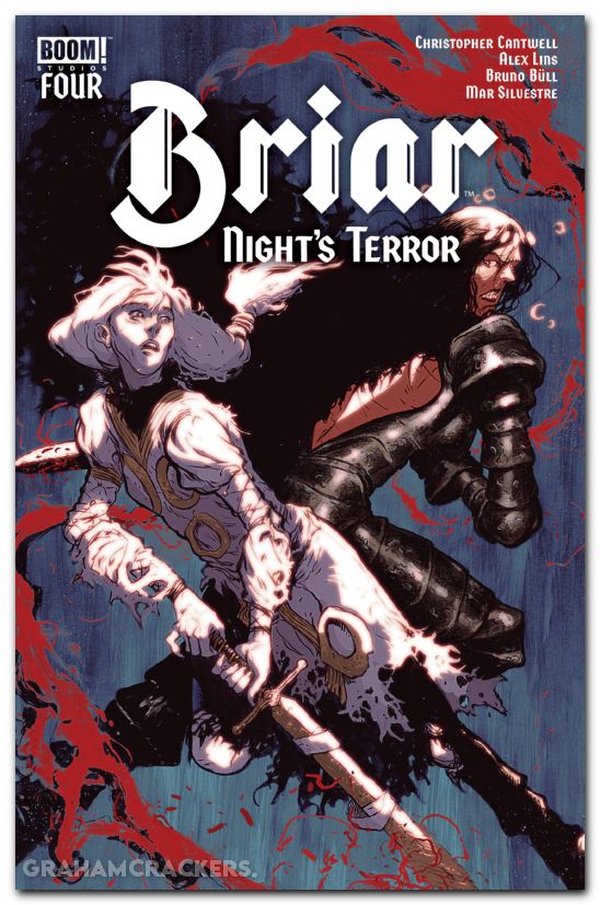 Briar Nights Terror #4 (2025) cover a