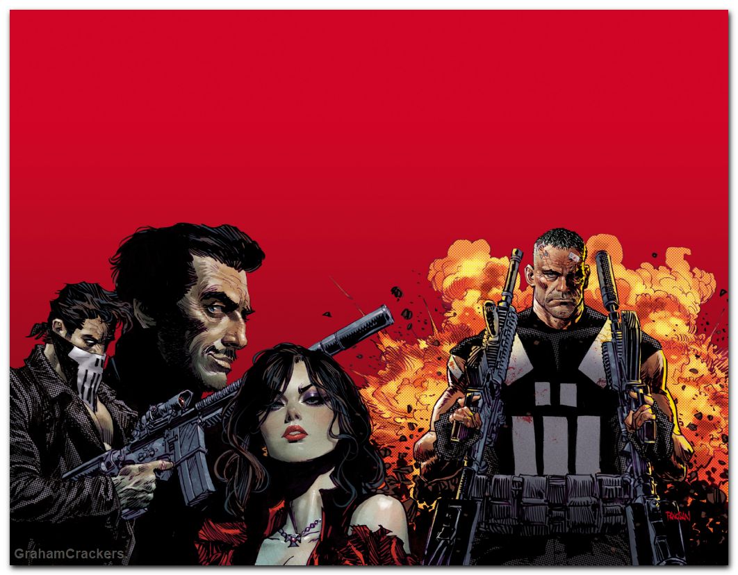 Marvel Knights Punisher TPB #01