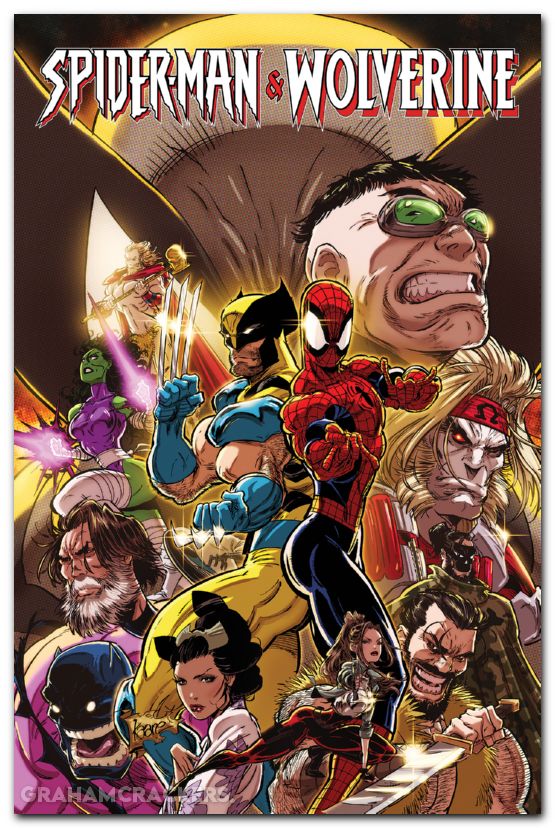 Spider-Man And Wolverine TPB #02 Life And Death Choices