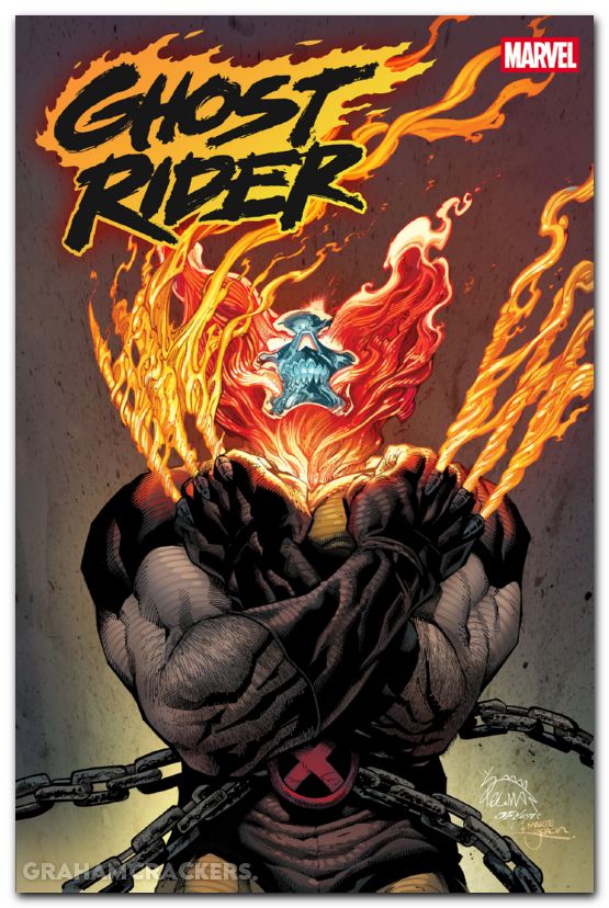 Ghost Rider By Percy Omnibus HC #01 Stegman DM Cover