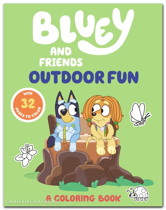 Bluey And Friends Outdoor Fun Coloring Book