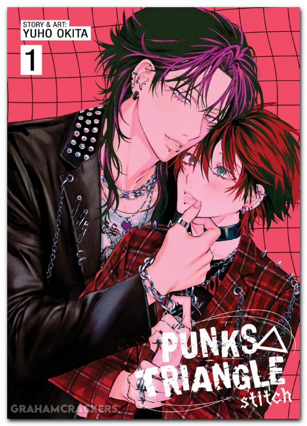Punks Triangle Stitch GN #01