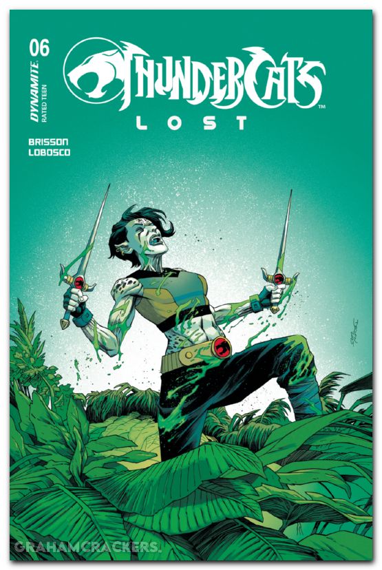 Thundercats Lost #6 cover a shalvey