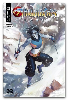 Thundercats Lost #3 cover c hetrick
